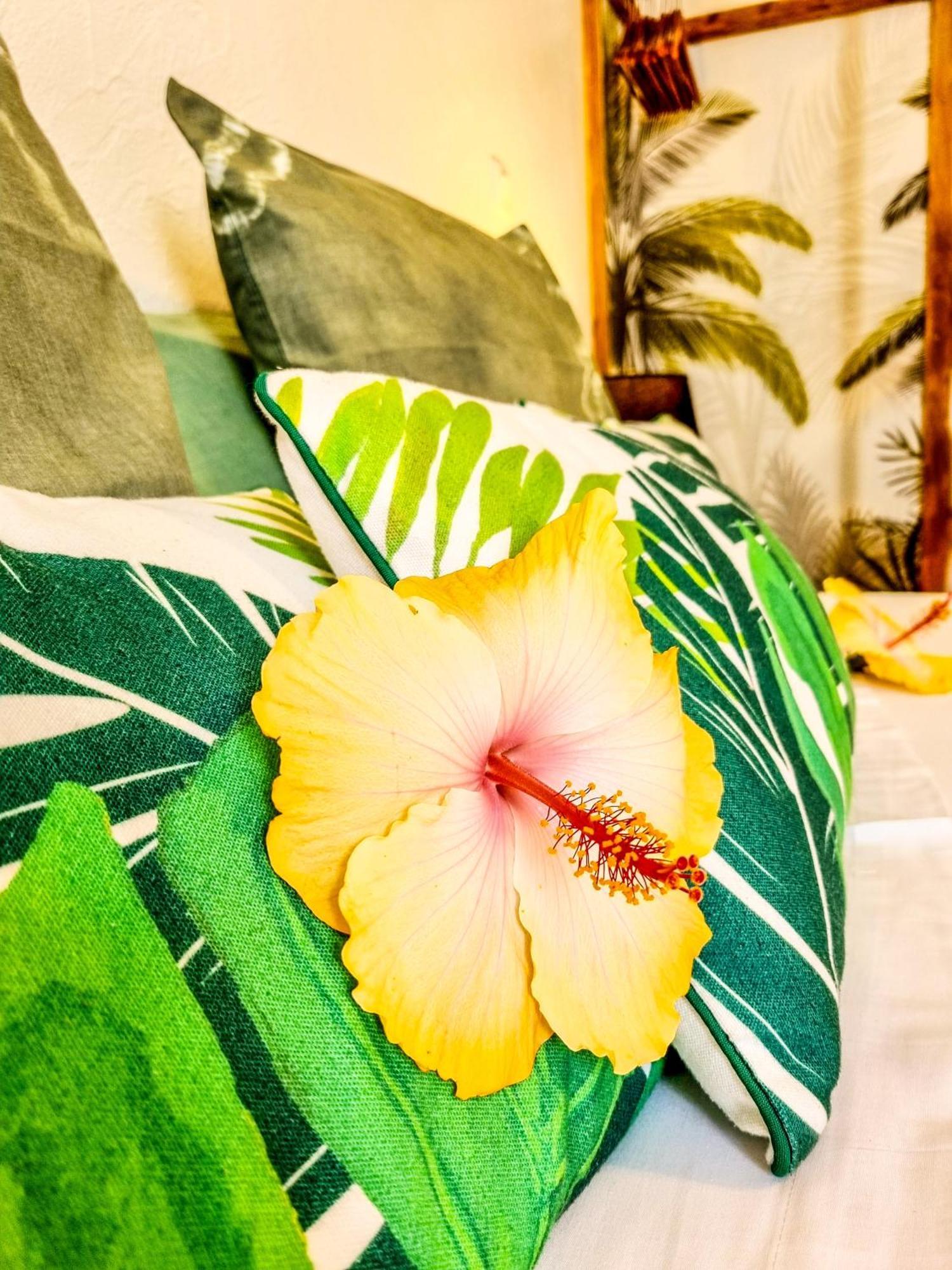 Maison D'Hotes Villa Des Mascareignes Petite-Ile Ngoại thất bức ảnh